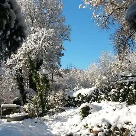 Bluetentraeume * Hochstetten-Dhaun